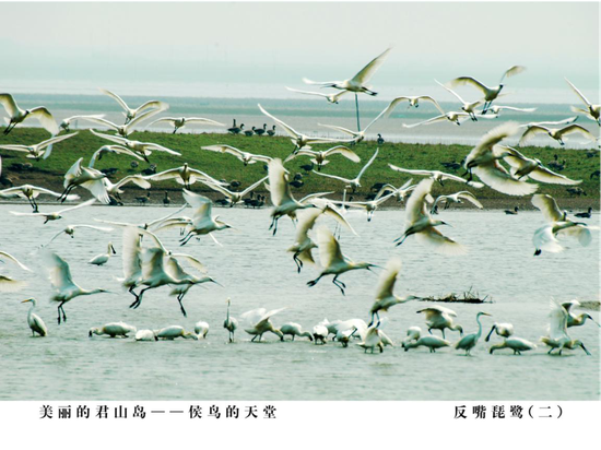 图片来源:东洞庭湖国家级自然保护区