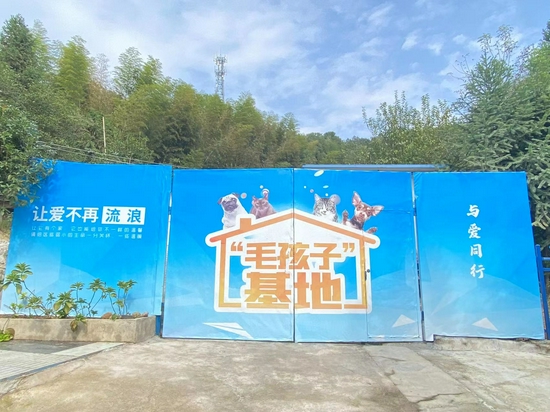株洲市小动物保护协会的“毛孩子”基地