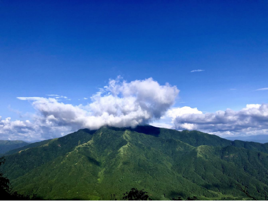 南山国家公园候选区金童山