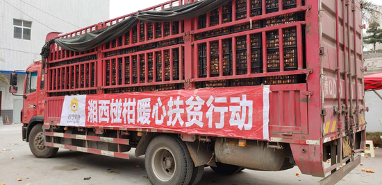 温暖过冬助力精准扶贫 苏宁助销湖南椪柑150万斤