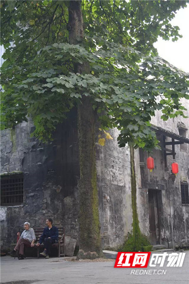 怀化市洪江古商城一角，老人背后的大树与墙垛浑然融为一体。
