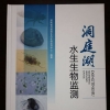 全国首部！《洞庭湖水生生物监测》出版