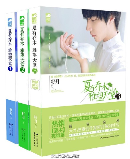 籽月小说改编《夏有乔木，雅望天堂》