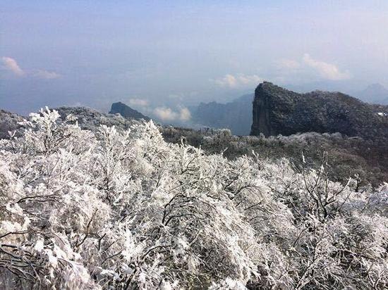 12月15日，经过一夜降雪，平均海拔1400多米的张家界天门山国家森林公园成了银装素裹的冰雪世界。丁云娟 摄