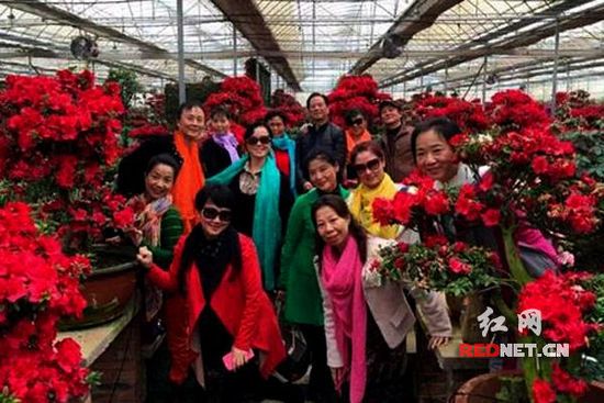 赏花是中国传统文化中的“人生七大雅事”之一