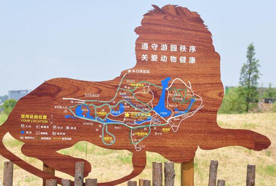 长沙生态动物园29日将迎来熊猫双胞胎兄弟