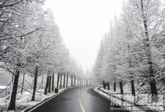 下雪的道路