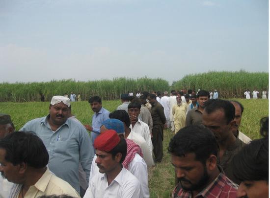 隆平高科在巴基斯坦举行的杂交水稻推广现场会
