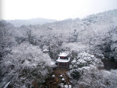 等雪的心情，就如等待爱情。图/潇湘晨报记者 辜鹏博