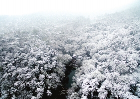 ▶2月1日，长沙大雪纷飞，岳麓山景区银装素裹。图/记者辜鹏博