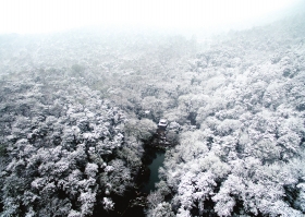 ▶2月1日,长沙大雪纷飞,岳麓山景区银装素裹。图/记者辜鹏博