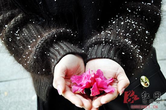 情人节遇寒潮，常德迎猴年初雪