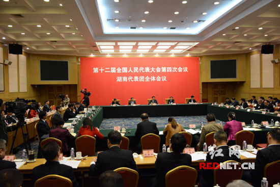 湖南代表团在驻地举行第三次全体会议，审议政府工作报告。会议向中外媒体开放。