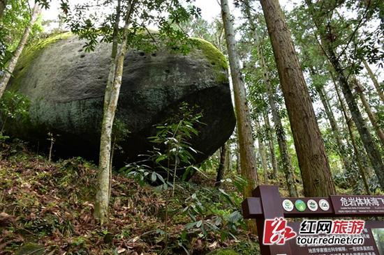 大围山国家地质公园内,巨大的花岗岩冰川漂砾。