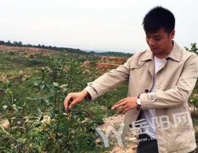 许鹏,1992年生,长相酷似明星邵兵,2010年他大学毕业后就返乡一直从事油茶种植。如今的他是2000亩油茶基地的老板,更是长湖乡家喻户晓的“油茶帅哥”。