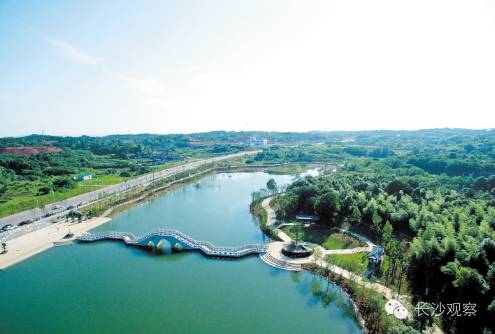 易炼红:造绿增绿终极目标是为了给广大人民群