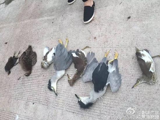 图片来源网络