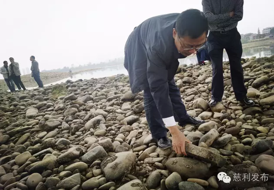 详细查看桥墩底部构造