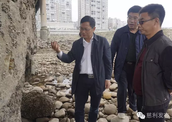 询问施工方法及桥墩桩基保护层部分脱落的原因