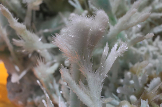 稀世珍宝七彩宝石花惊现新宁崀山 星辰在线 长