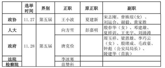 邵阳各县市区人大政府政协新一届领导班子名单