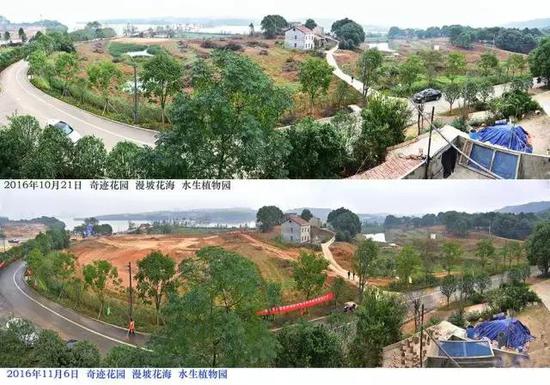 奇迹花园、漫坡花海、水生植物园施工对比图