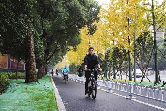 2016年11月17日，长沙市芙蓉路，市民在自行车道内骑行。图/记者 谢长贵