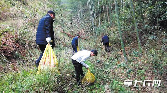 工作人员正将查获的中华蟾蜍放生。长沙晚报通讯员 罗时茂 摄