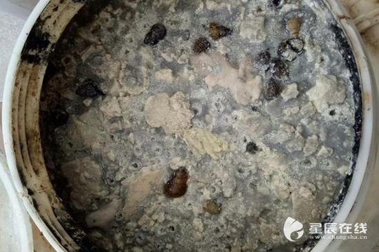 存放在塑料桶中的卤水已长出了厚厚一层霉菌。图片均由星辰在线通讯员 提供