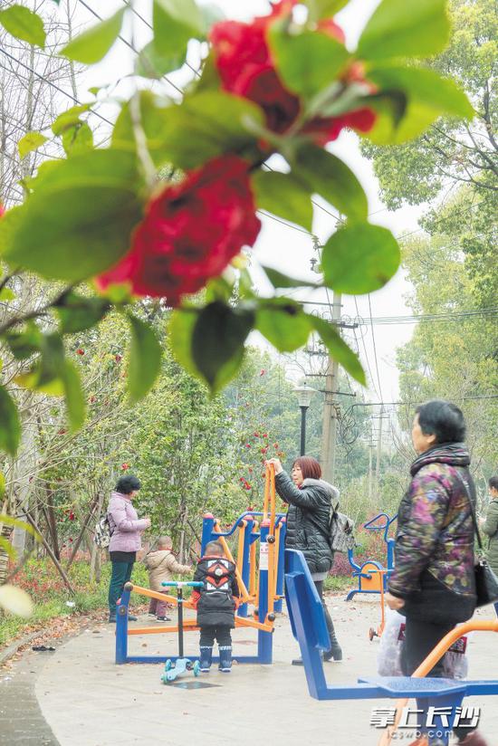 在天心区芙蓉南路先锋文化公园内，老人、孩子休闲健身，好不惬意。长沙晚报记者 李锋 摄