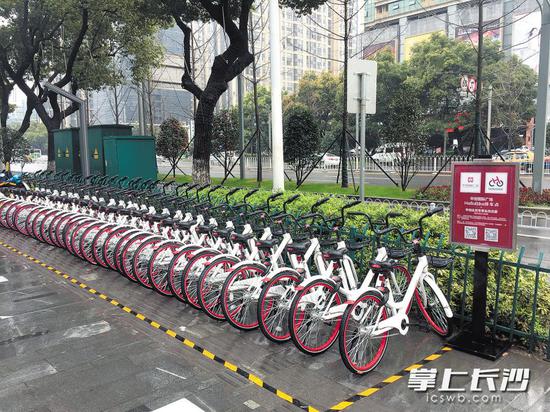 位于华创国际广场前坪的共享单车停车位。 长沙晚报记者 小李卓 摄