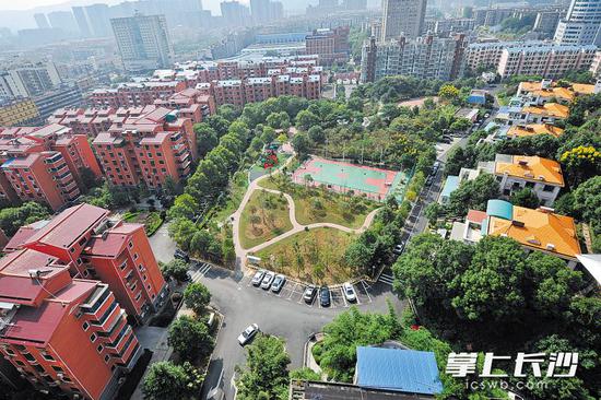 提质提档后的岳麓区阳明山庄社区整洁有序,环境优美。长沙晚报记者 王志伟 摄(资料图片)