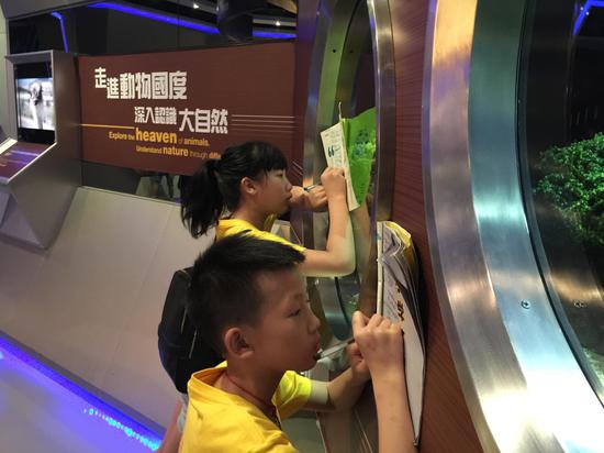 香港小学生游湖南,研学手册里藏着香港的秘密小学生跑步摔倒图片