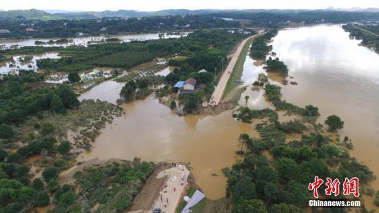 湖南遭遇暴雨洪涝灾害。杨华峰摄