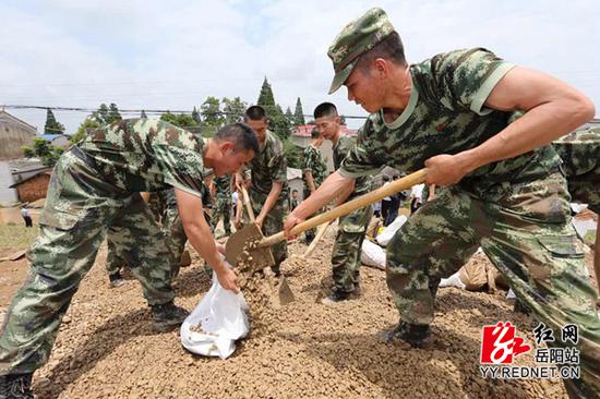 调运筑板土、铲运沙石、运送沙包、抢筑压浸平台……