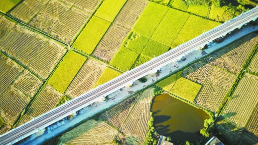 　　8月29日，怀邵衡（怀化—邵阳—衡阳）铁路衡阳县境内段，目前主体工程已完工，进入路面轨道铺设阶段，预计2018年全线通车。刘晓飞 摄