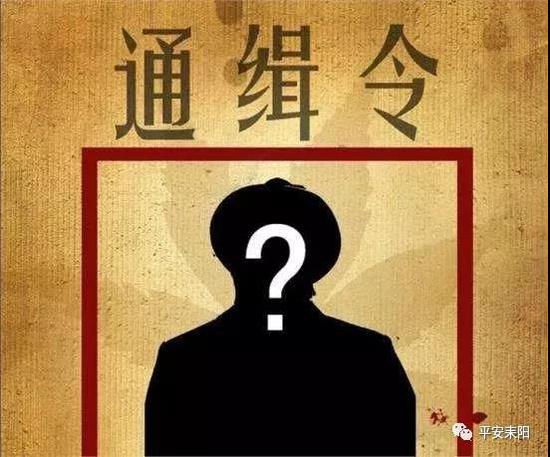网上逃犯到公安办理业务 民警机智应对当场抓获