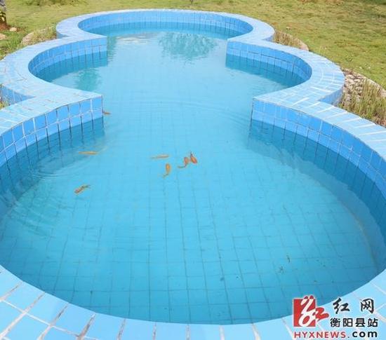 衡阳县洪市镇污水处理厂处理过后的污水。