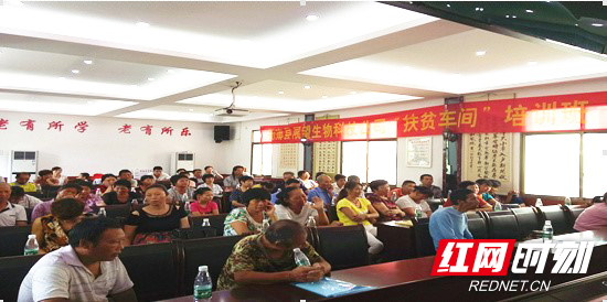 衡南县三塘镇“扶贫车间”油茶产业技术培训班现场。