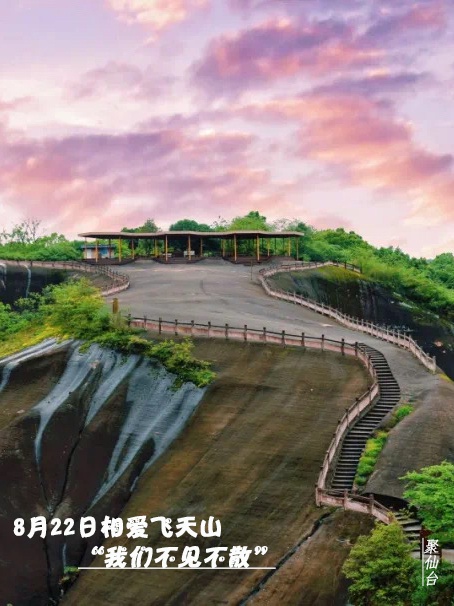 聚仙台
