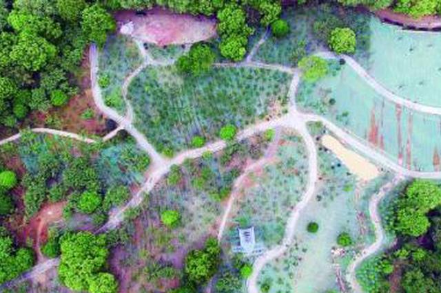 株洲石峰公园樱花园扩建到近200亩 分有水上活