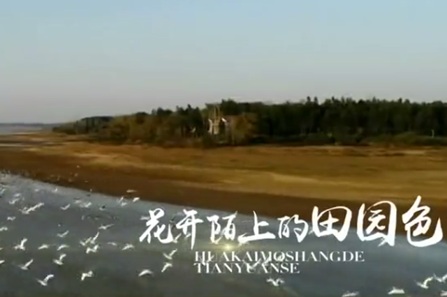 株洲：无声窑火“金刚钻” 醴陵“瓷器活”越千年