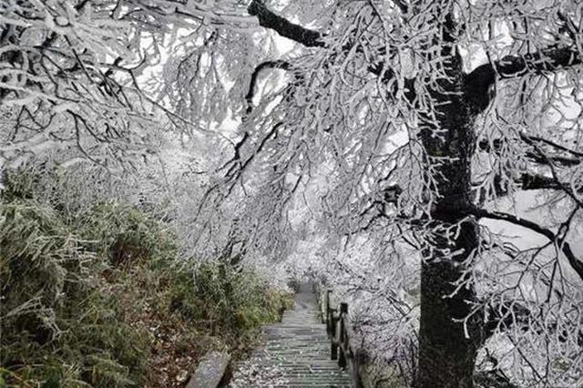 组图｜新化大熊山迎来今年入冬以来首场雾凇景观