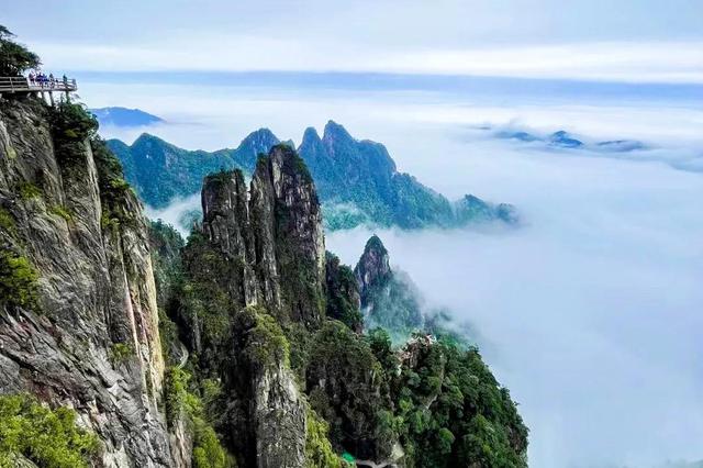 世界上最大毒蛇在中国？莽山洛铁头，真的重达30多斤...