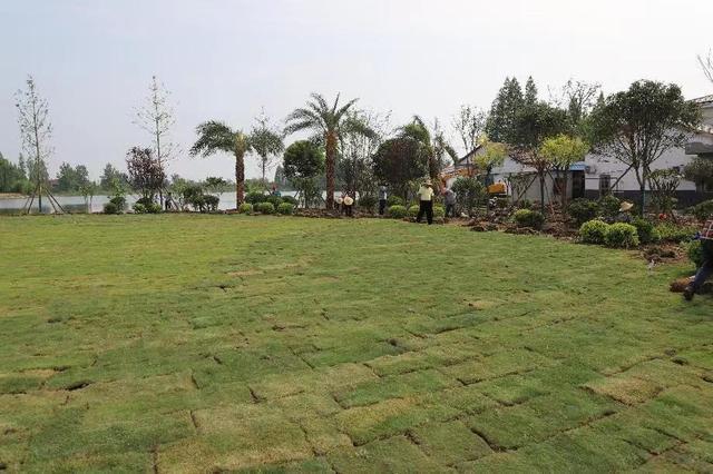 司法、妇联、移动助力 大莲湖村日新月异