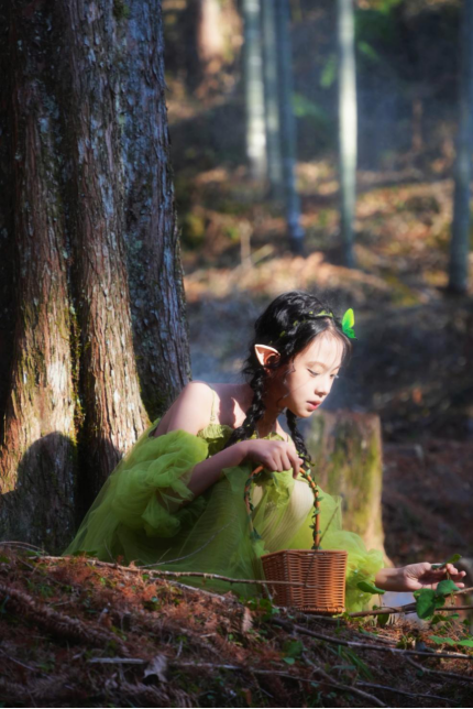 (漫步红衫林,邂逅“精灵之森”绿野仙踪的梦境 星辰全媒体记者 李若男摄)