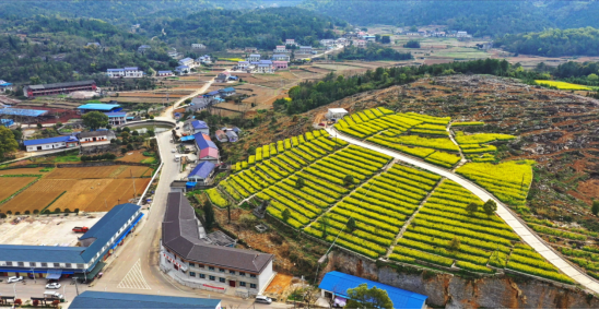 南方大寨“花家凹梯田”