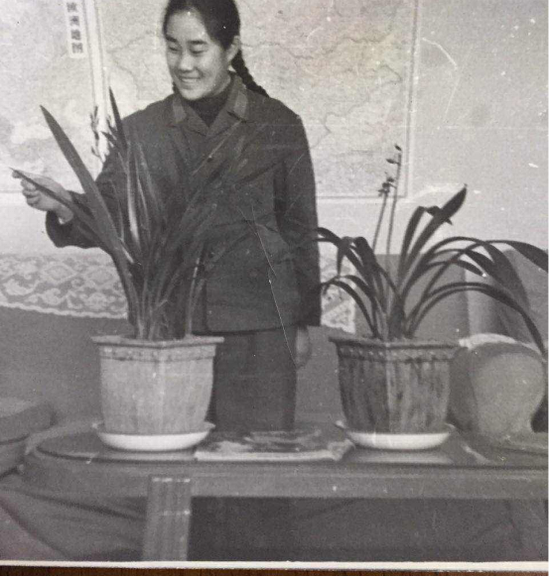 1973年春节,朱新华第一次从广州回北京探亲,特意给爷爷带回两盆兰花作为礼物。