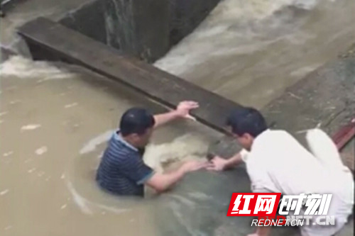 平安村党支部书记周法文不顾生命危险奋力抢险。