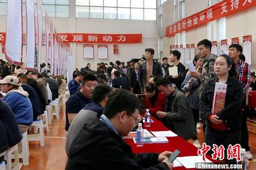 资料图:招聘会现场。中新社记者 马铭言 摄